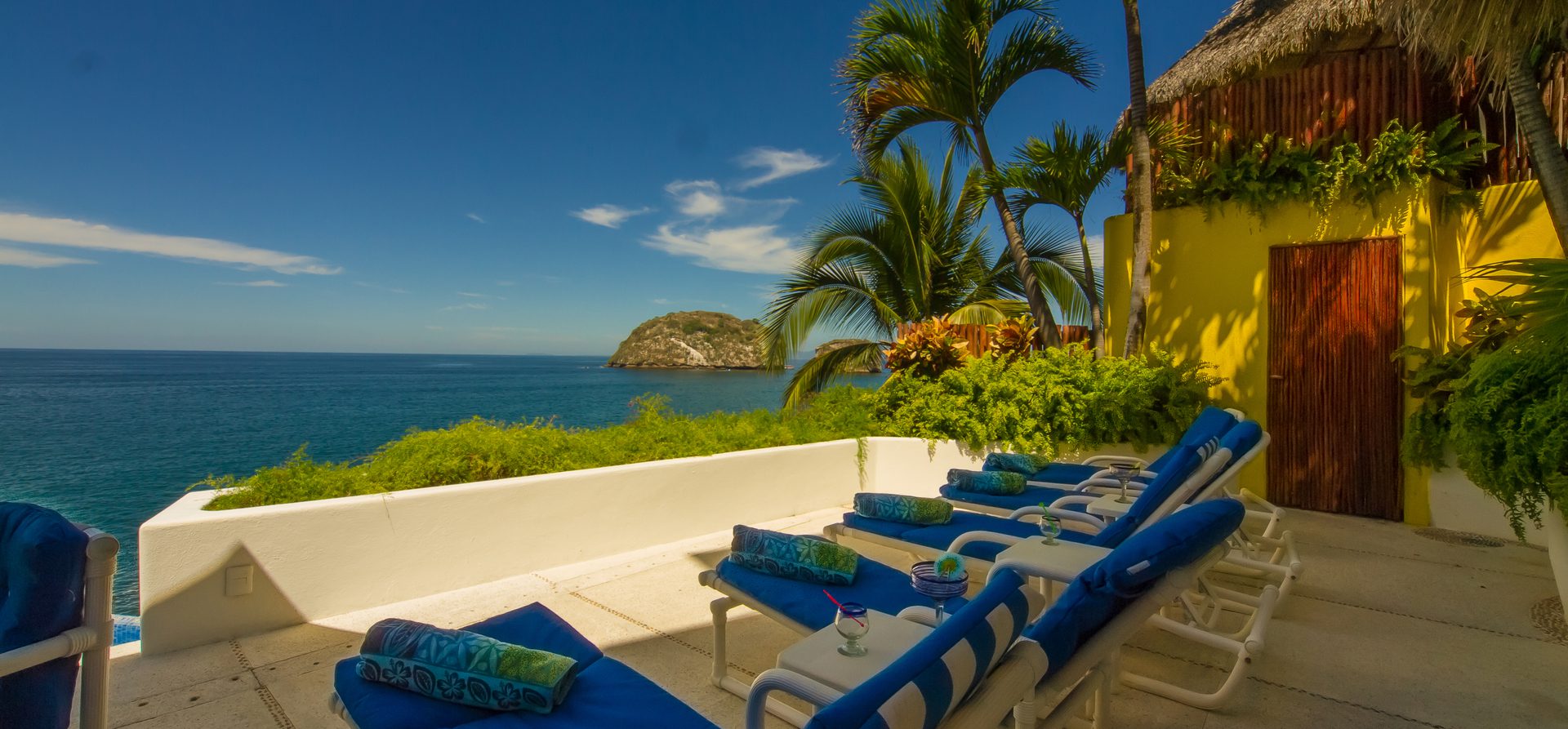 Relaxing coastal view with palm trees