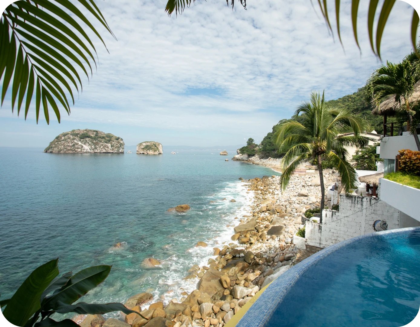 Palm trees by the seaside with clear sky