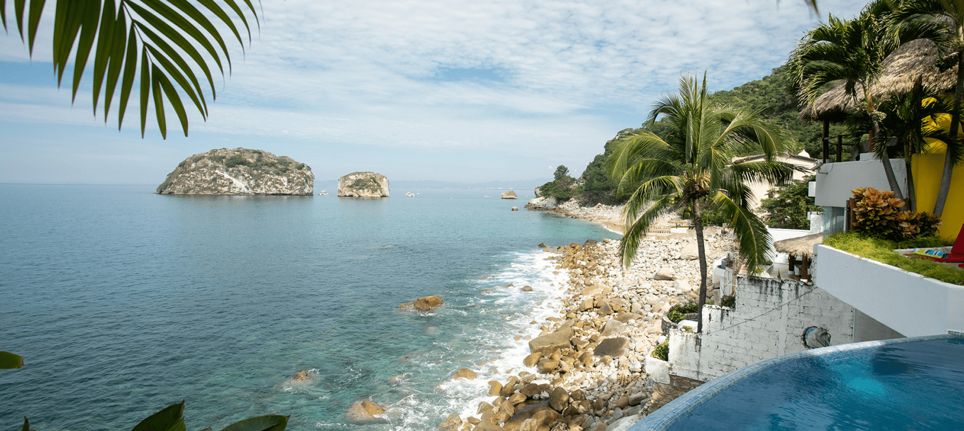 Coastal view with palm trees and rocks